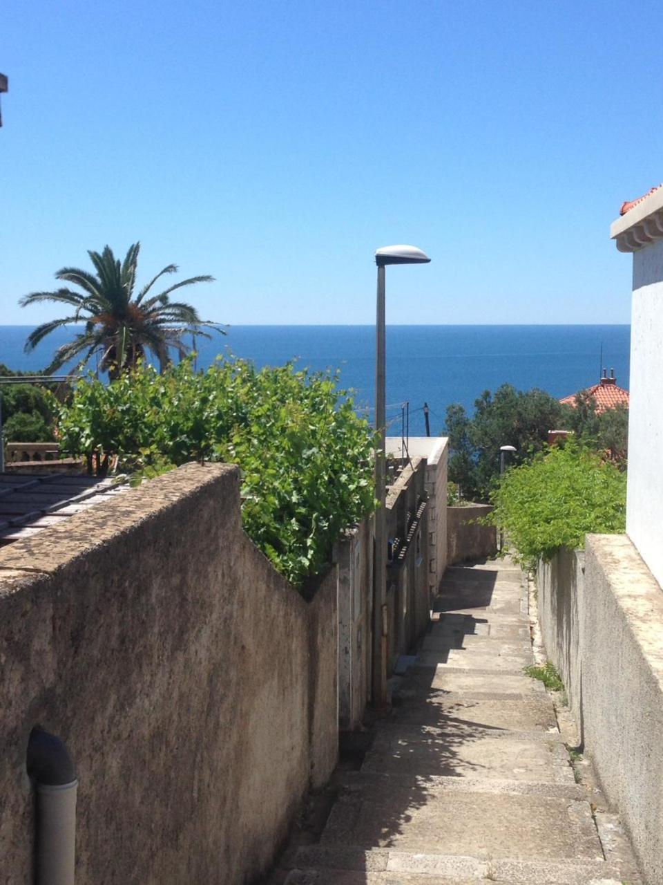 Happy Dubrovnik Centre-Free Parkingアパートメント エクステリア 写真